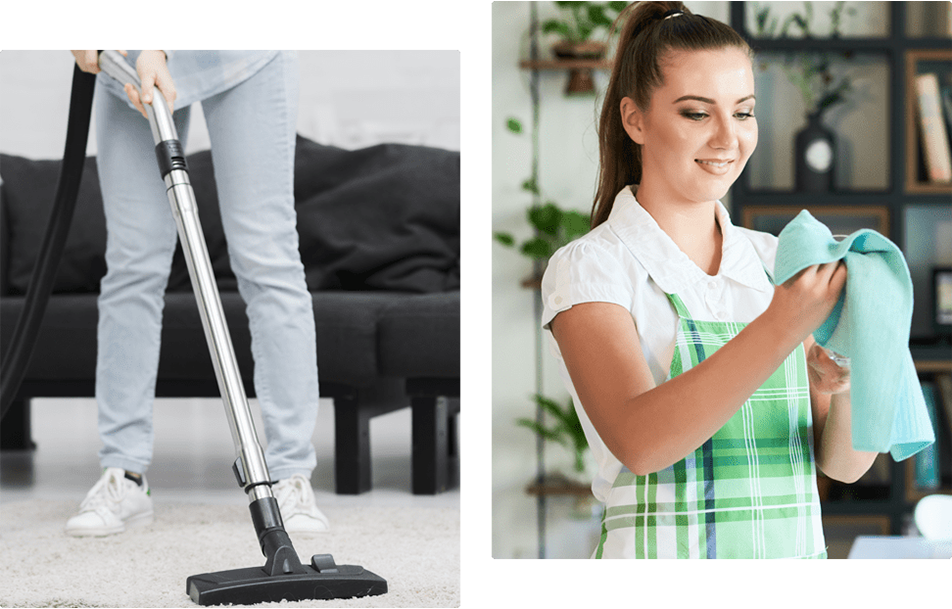 Cleaning - Carpet Washing PHP Script with CMS